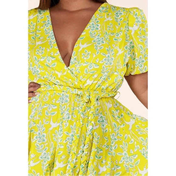 L’atiste by Amy Curvy Yellow Hummingbird Dress - Picture 3 of 12